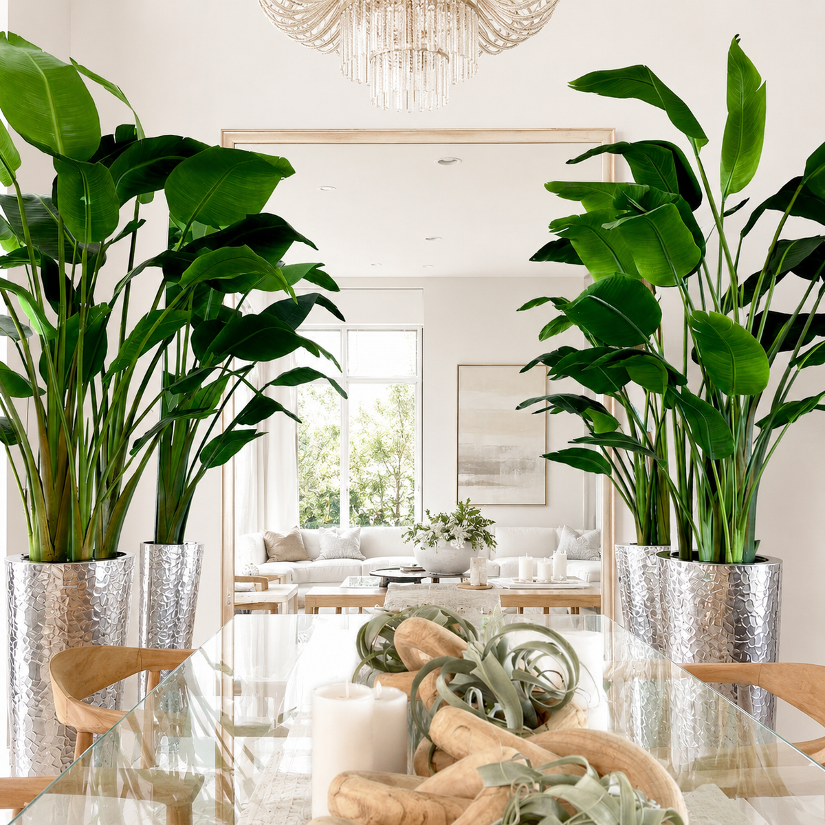 Ave del Paraíso en Cono de Acero Inoxidable Martillado Plateado | Botánica Luma