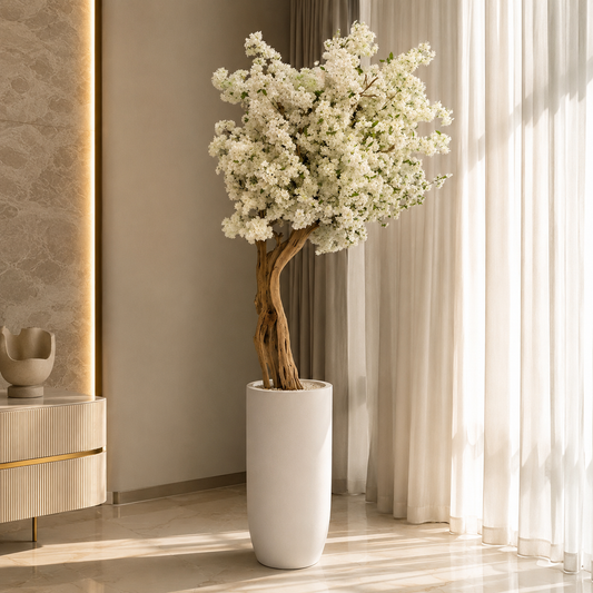 Cerezo Blanco en Macetero St. Tropez Beige Mate | Botánica Luma