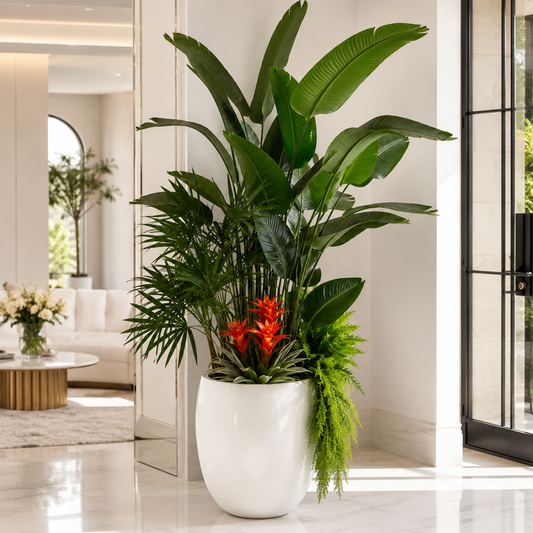 Plantas Tropicales en Macetero Blanco Lacado | Botánica Luma