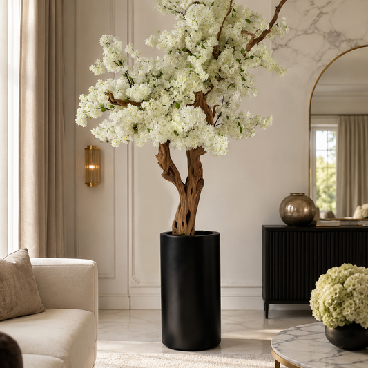 Cerezo Blanco en Macetero St. Tropez Negro Mate | Botánica Luma