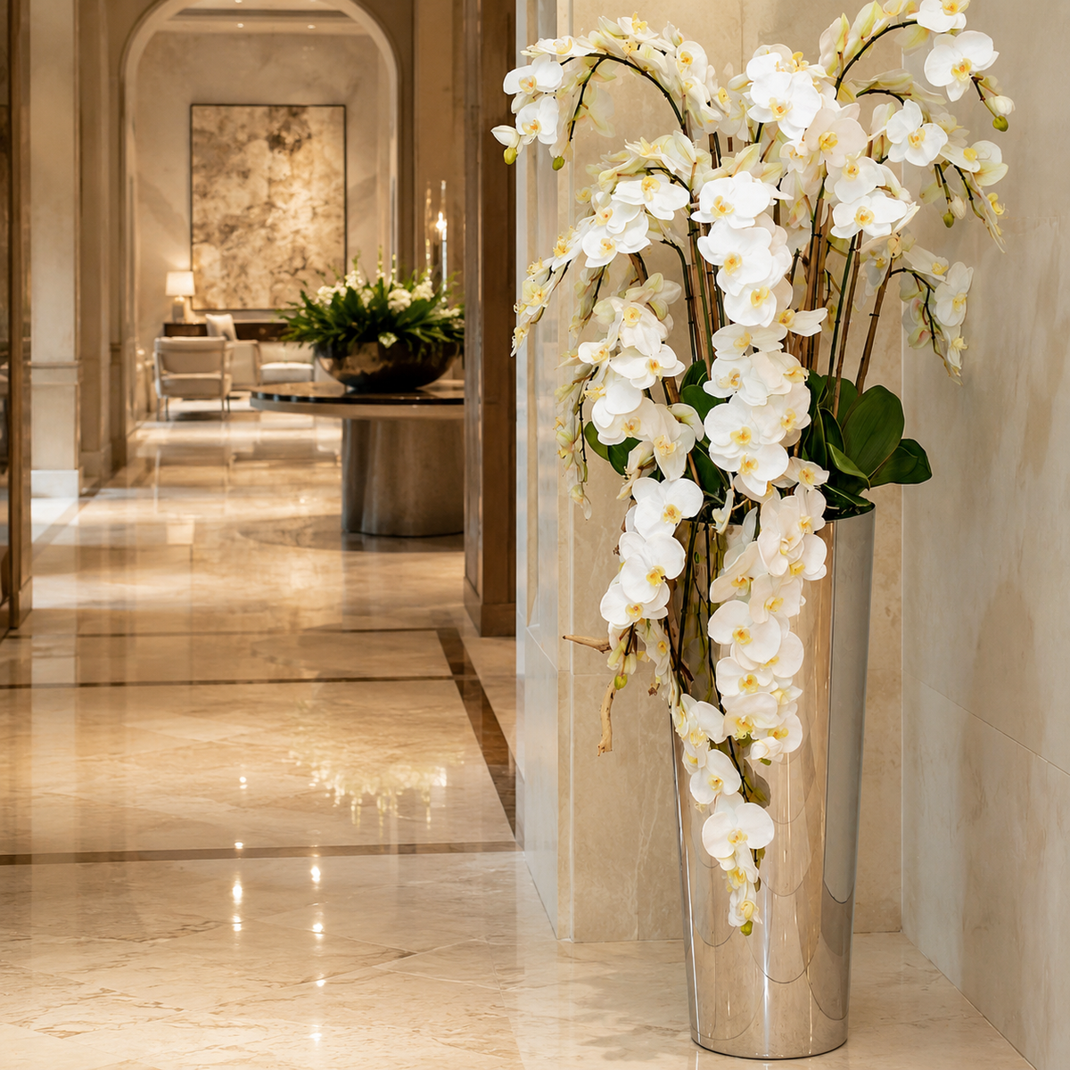 Orquídeas Phalaenopsis en Cascada en Cono Evasado en Acero Inoxidable Pulido | Botánica Luma