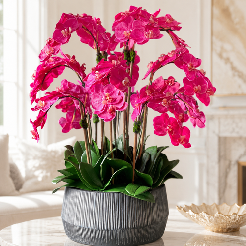 Cuenco Java Negro con Orquídeas Phalaenopsis Rosas | Botánica Luma