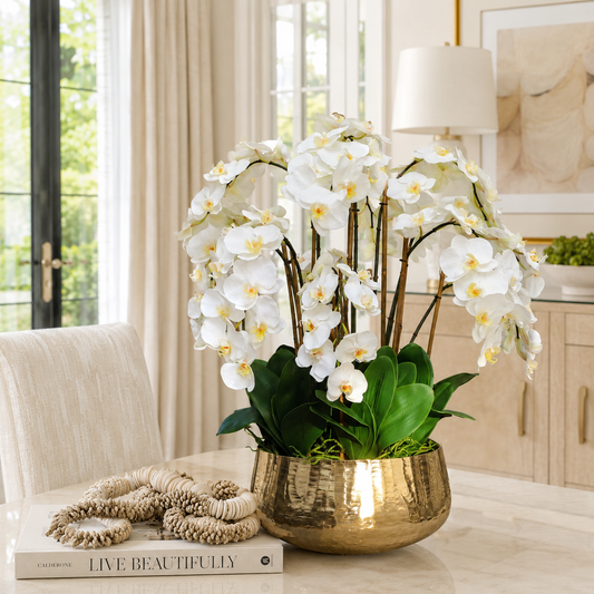 Orquídeas Phalaenopsis en Macetero Dorado | Botánica Luma