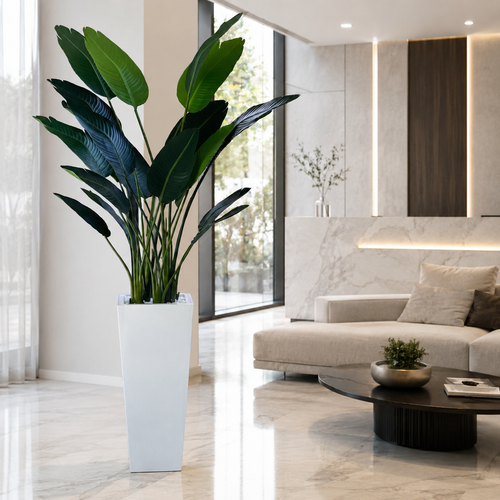 Strelitzia en Macetero Beau Blanco Lacado | Botánica Luma