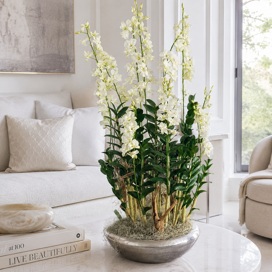Orquídeas Dendrobium en Macetero Avenue Plateado | Botánica Luma